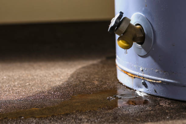 Best Water damage cleanup near me  in Farmers Branch, TX