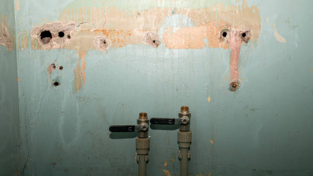Best Sewage cleanup and water damage restoration  in Farmers Branch, TX