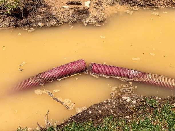 Best Emergency water damage restoration  in Farmers Branch, TX